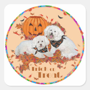 Adesivo Quadrado Bichon Frise Halloween