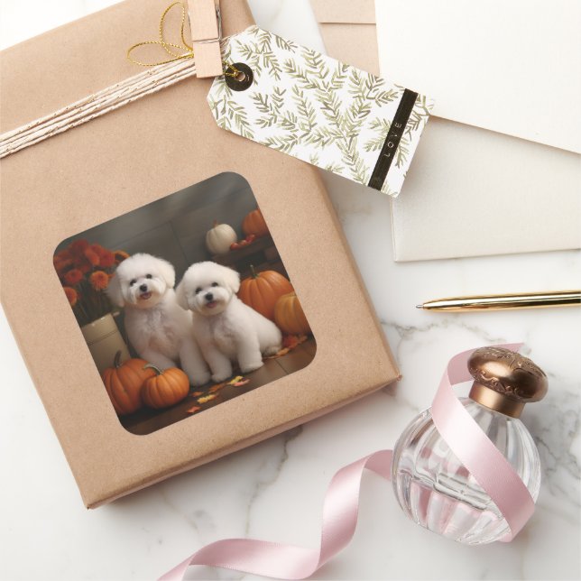 Adesivo Quadrado Bichon Frise Puppy Autumn Delight Pumpkin (Presentear)
