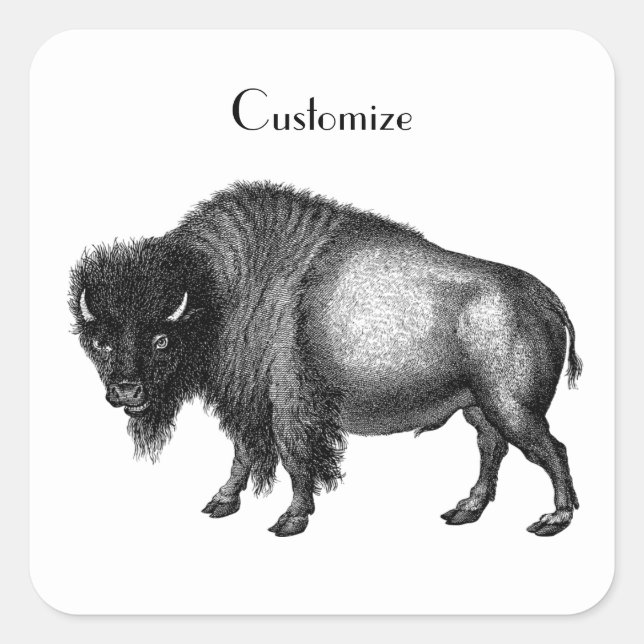 Adesivo Quadrado Big Bison Buffalo Thunder_Cove (Frente)