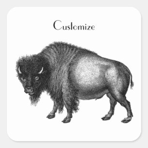 Adesivo Quadrado Big Bison Buffalo Thunder_Cove