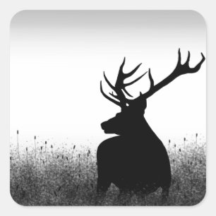 Adesivo Quadrado Big Buck