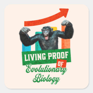 Adesivo Quadrado Biologia Evolutiva Humor de Primatas