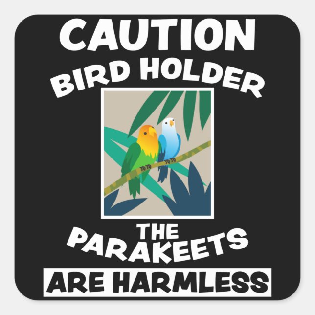 Adesivo Quadrado Bird Cute Exotic Animal Design Birds Amigos Presen (Frente)