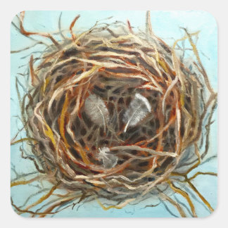 Adesivo Quadrado Bird Nest Sticker