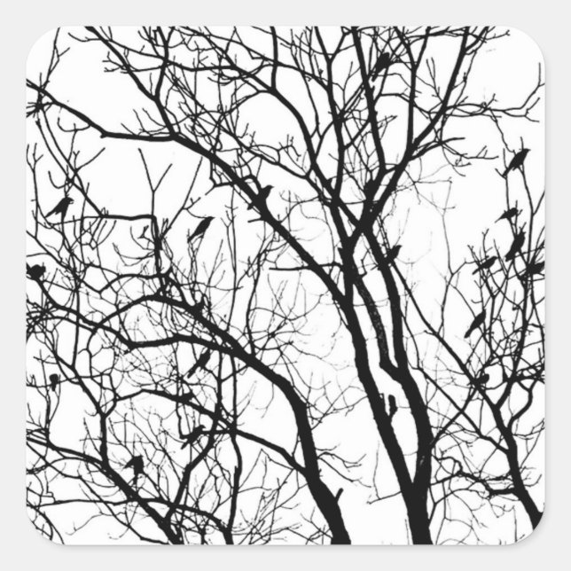 Adesivo Quadrado Bird Silhouette de Therese Kramer (Frente)