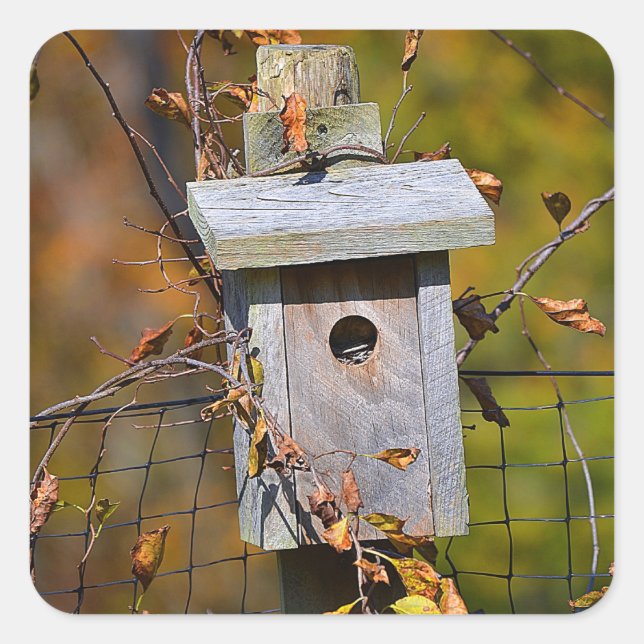 Adesivo Quadrado Birdhouse In Autumn Sticker (Frente)