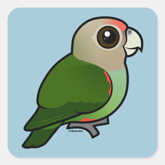 Adesivo Quadrado Birdorable Cape Parrot (Frente)