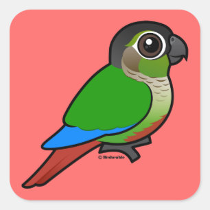 Adesivo Quadrado Birdorable Conure Verde-cheeked