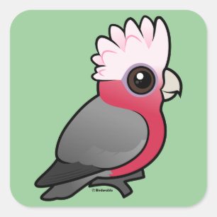 Adesivo Quadrado Birdorable Galah