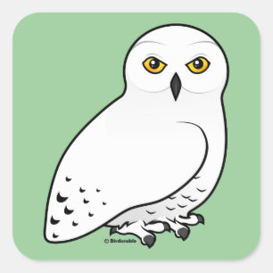 Adesivo Quadrado Birdorable Snowy Owl