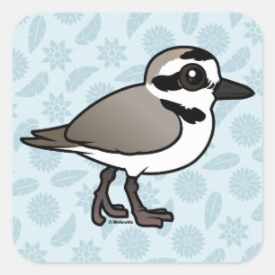 Adesivo Quadrado Birdorable Snowy Plover