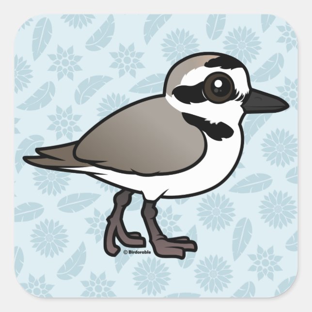 Adesivo Quadrado Birdorable Snowy Plover (Frente)