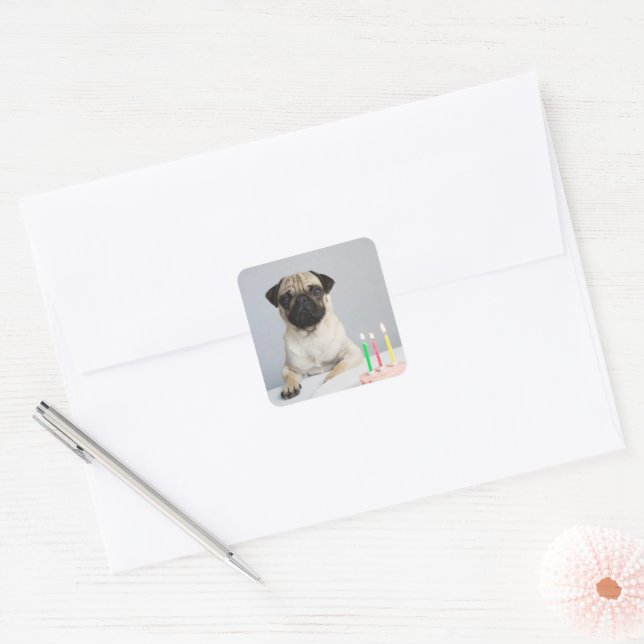 Adesivo Quadrado Birthday Pug (Envelope)