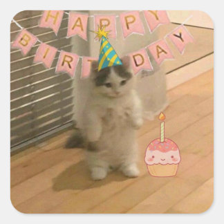 Adesivo Quadrado Birthday stickers