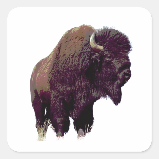 Adesivo Quadrado Bison Buffalo Card (Frente)