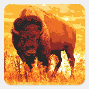 Adesivo Quadrado Bison / Buffalo Square Sticker
