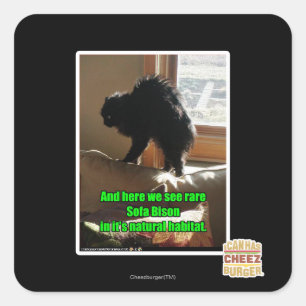 Adesivo Quadrado Bisonte do sofá