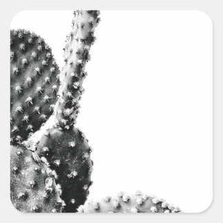 Adesivo Quadrado Black and White Cactus Zwart en Wit