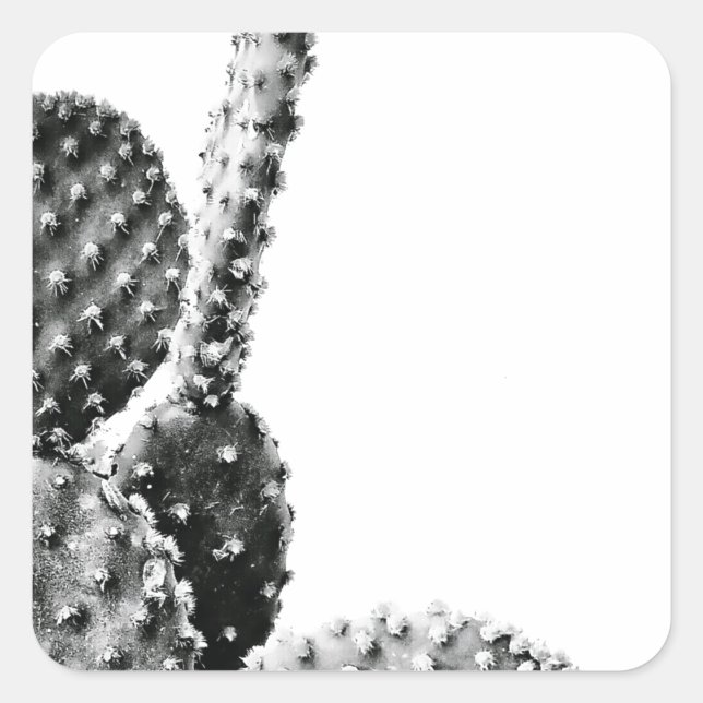 Adesivo Quadrado Black and White Cactus Zwart en Wit (Frente)