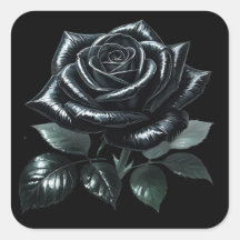 Black Gothic Rose