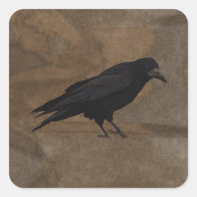 Adesivo Quadrado Black Rook British Corvid e Rustic Background (Frente)