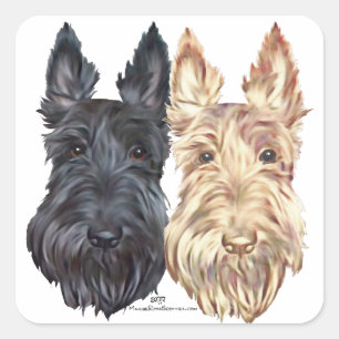 Adesivo Quadrado Black & Wheaten Scottish Terriers