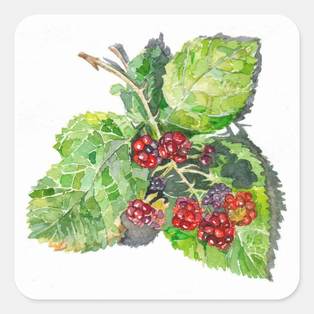 Adesivo Quadrado BlackBerry (Frente)