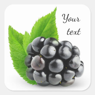 Adesivo Quadrado Blackberry