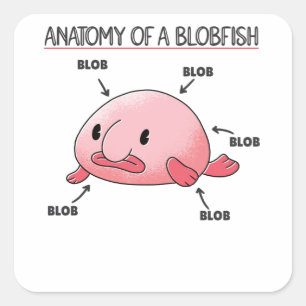 Adesivo Quadrado Blobfish Afirma Anatomia De Blobfish