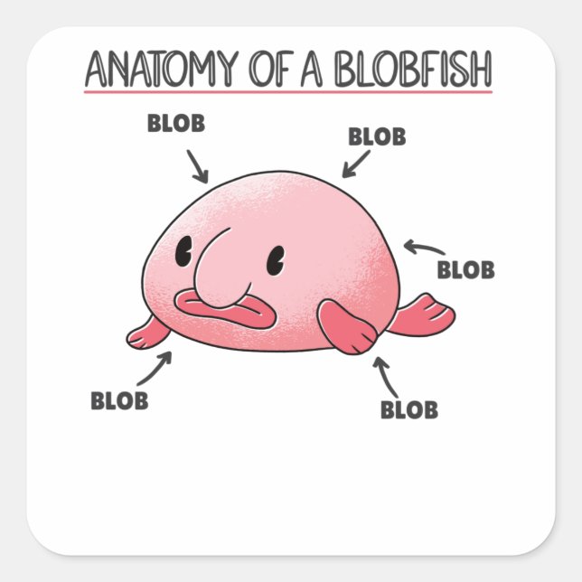 Adesivo Quadrado Blobfish Afirma Anatomia De Blobfish (Frente)