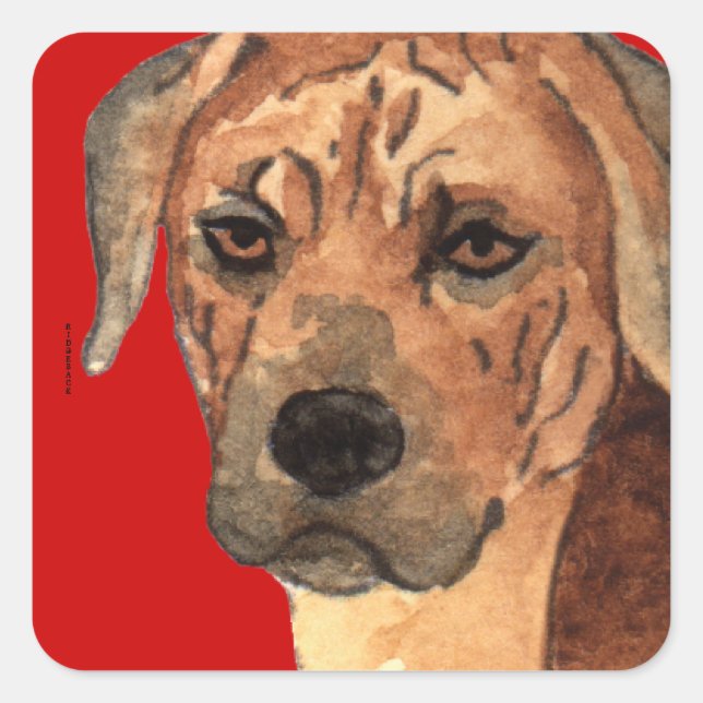 Adesivo Quadrado Bloco de Cores Ridgeback da Rodésia (Frente)