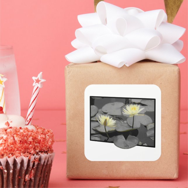 Adesivo Quadrado Bloom além do quadro (Festa)