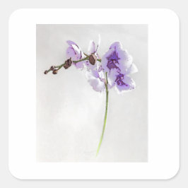 ADESIVO QUADRADO BLOSSOM IMPRESSÃO STICKER