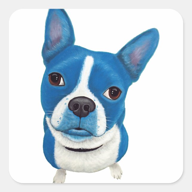 Adesivo Quadrado Blue Boston Terrier (Frente)