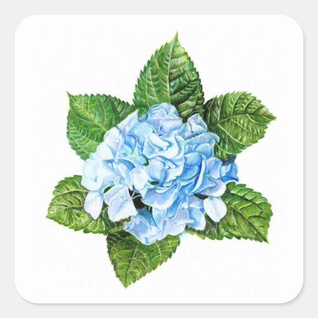 Adesivo Quadrado Blue Hydrangea (Frente)