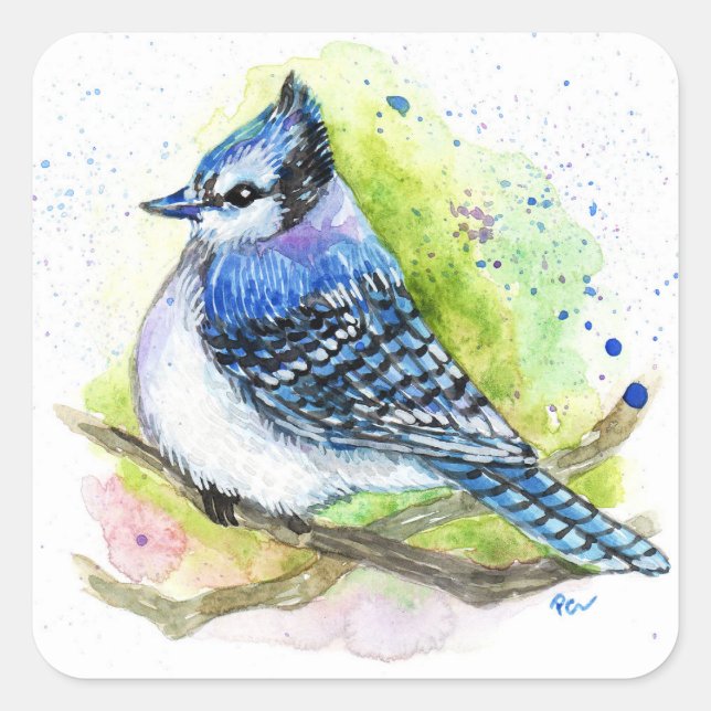 Adesivo Quadrado Blue Jay (Frente)