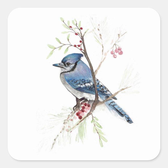 Adesivo Quadrado Blue Jay Bird Square Sticker (Frente)