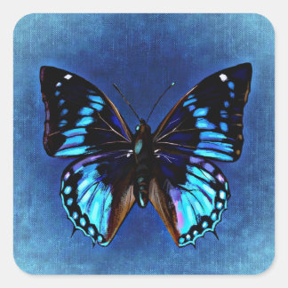 Adesivo Quadrado Blue on Blue Butterfly Sticker