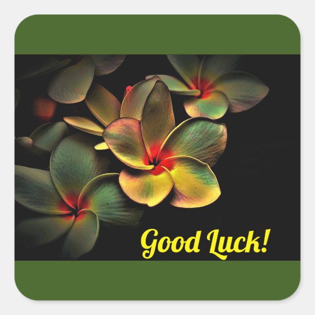 Adesivo Quadrado Boa Sorte! (Frente)