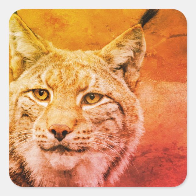 Adesivo Quadrado Bobcat Wildlife Stickers (Frente)