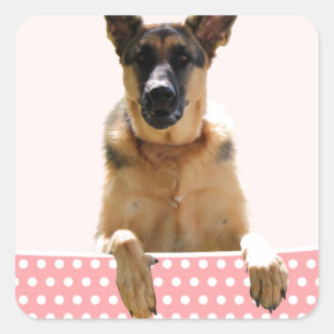 Adesivo Quadrado Bolinhas Rosa german shepherd
