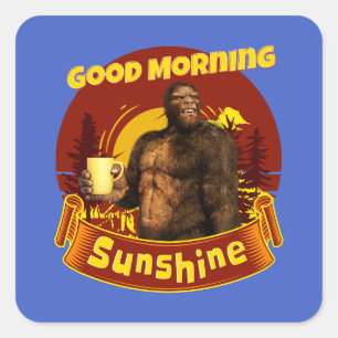 Adesivo Quadrado Bom dia Sunshine Engraçado Pé Grande