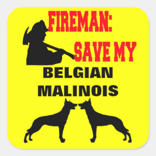 Adesivo Quadrado Bombeiro Salva Meus Dois Cães Malinois Belgas