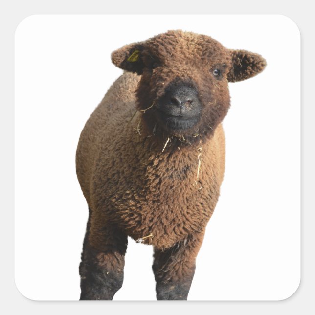 Adesivo Quadrado Boneca Negra (Frente)