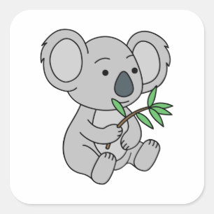 Adesivo Quadrado Bonito Bebê Koala Com Folhas De Eucalyptus