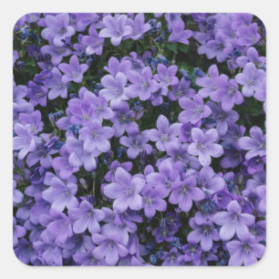 Adesivo Quadrado Bonito Conjunto de Flores Roxas