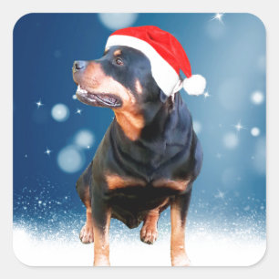 Adesivo Quadrado Bonito Rottweiler Cachorro Natal Santa Hat Estrela