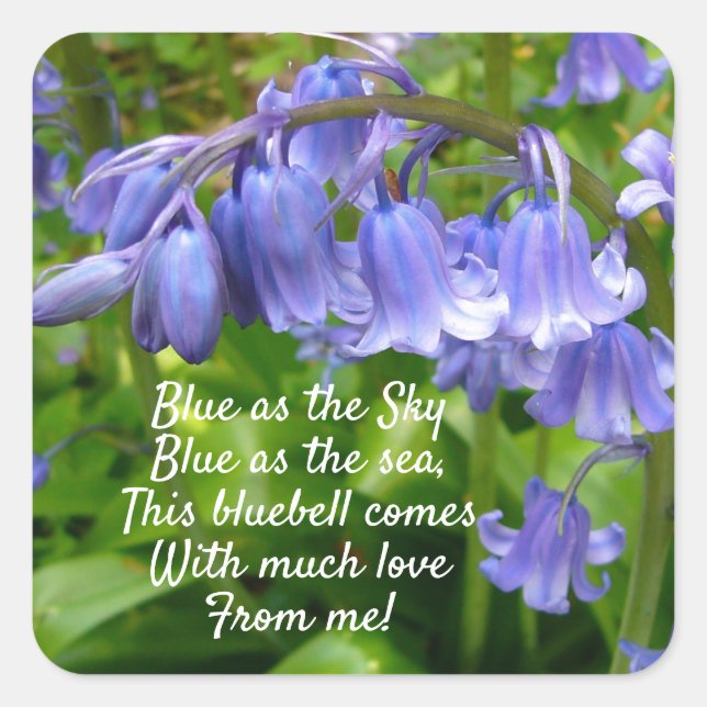 Adesivo Quadrado Bonnie Bluebell Com Amor (Frente)