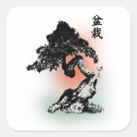 Bonsai 01