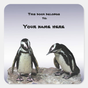 Adesivo Quadrado Bookplate dos pinguins